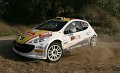 2 Peugeot 207 S2000 P.Andreucci - A.Andreussi (54)